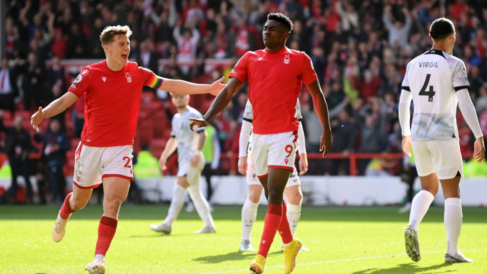 塔佩展示了 塔佩展示了